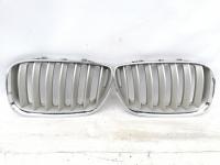 Решетка радиатора X5 E53 LCI 51137113733 Х5 Е53 рест.